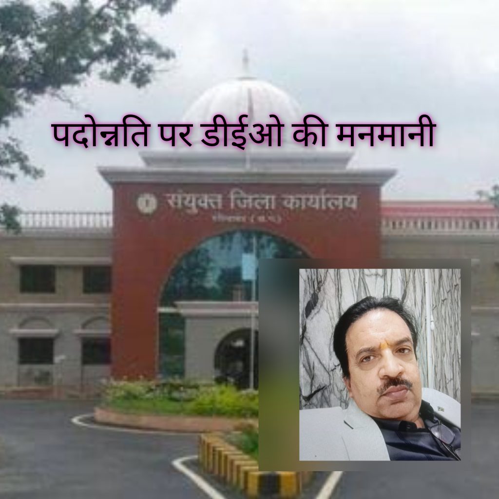 InCollage_20241106_191438655