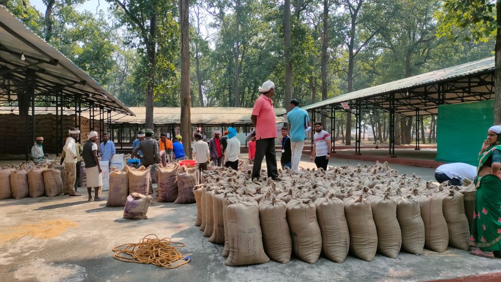 धान खरीदी केन्द्र (2)