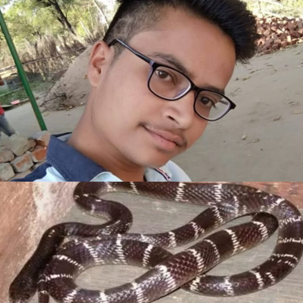 InShot_20250623_092557310