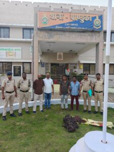 motion_photo_4115931947691483183