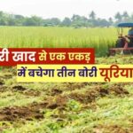 हरी खाद- खेती में बढ़ेगा उत्पादन, मिट्टी की सेहत होगी बेहतर….
