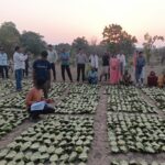 साय सरकार के सुशासन में तेन्दूपत्ता संग्राहकों को मिली आर्थिक मजबूती, 10,160 हितग्राहियों के खातों में पहुँची 1.39 करोड़ रुपये से अधिक की बोनस राशि….