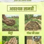 सीड बॉल अभियान- हरियाली बढ़ाने का सरल और प्रभावी माध्यम….